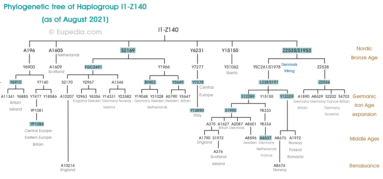 Phylogenetischer Baum der Haplogruppe I1-Z140 (Y-DNA) - Eupedia