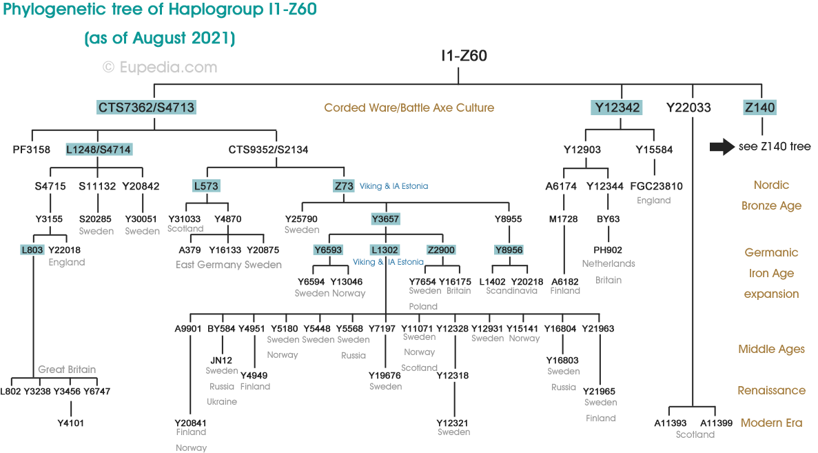 Arbre phylogénétique de l'haplogroupe I1-Z60 (Y-ADN) - Eupedia