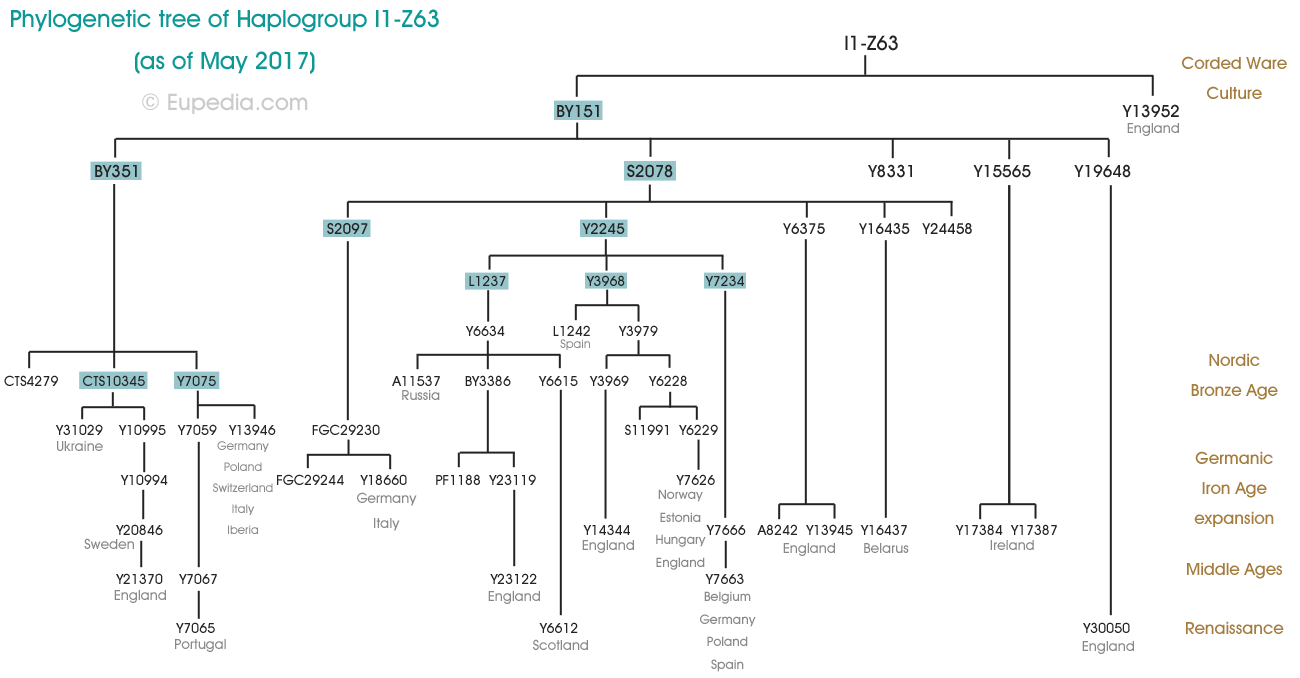 Phylogenetischer Baum der Haplogruppe I1-Z63 (Y-DNA) - Eupedia
