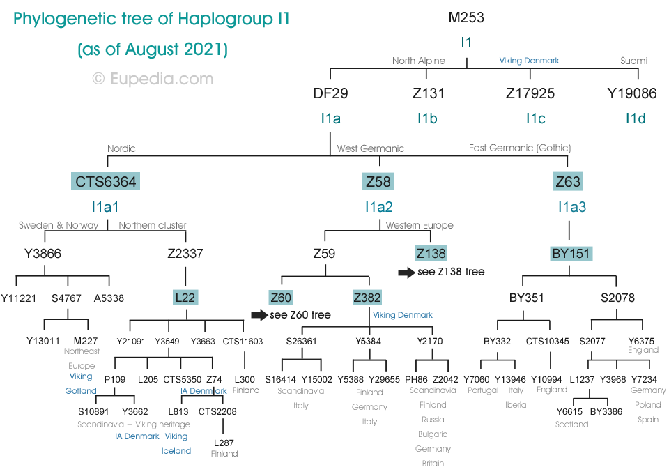 Drzewo filogenetyczne haplogrupy I1 (Y-DNA) - Eupedia