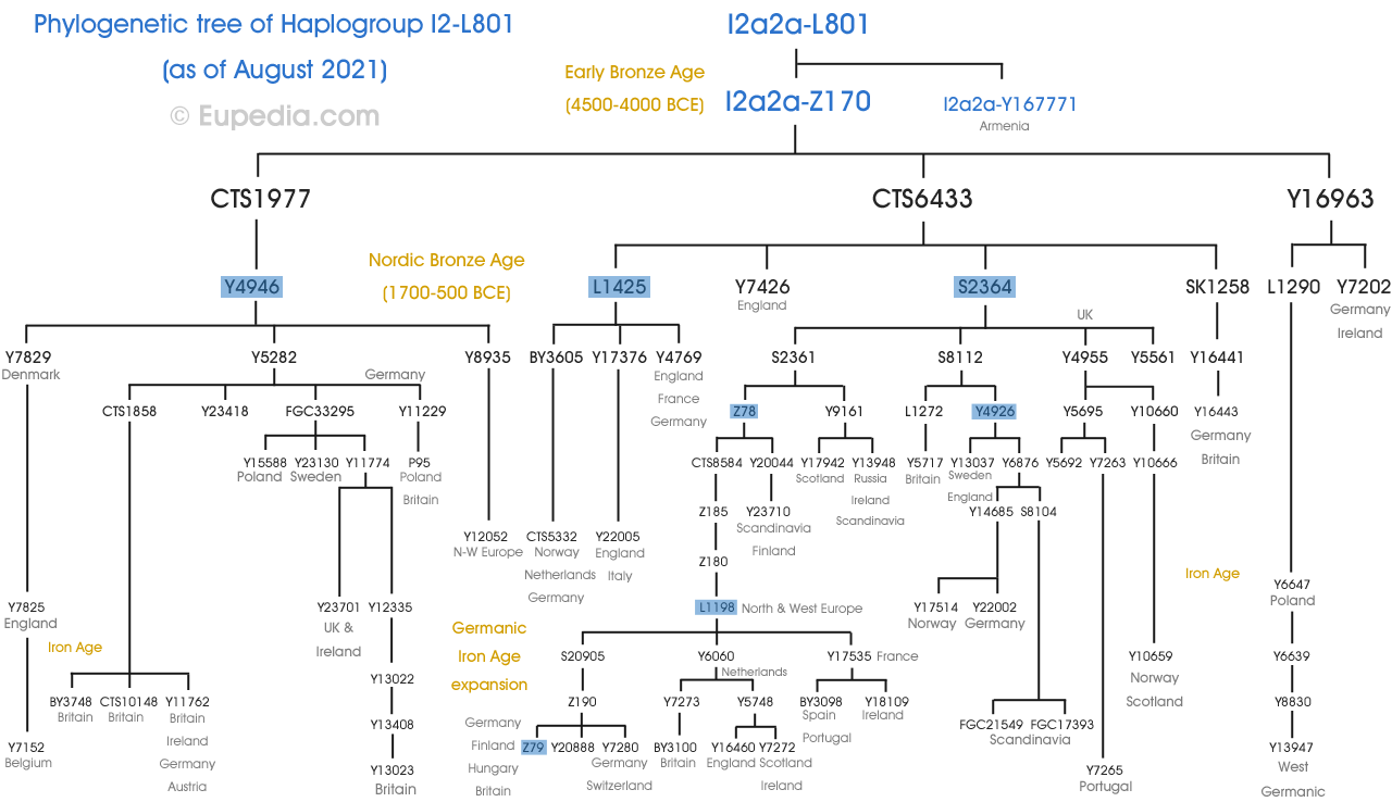 Drzewo filogenetyczne haplogrupy I2-L801 (Y-DNA) - Eupedia