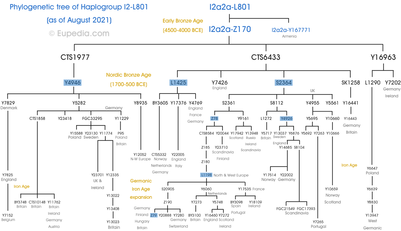 I2-L801-tree.png