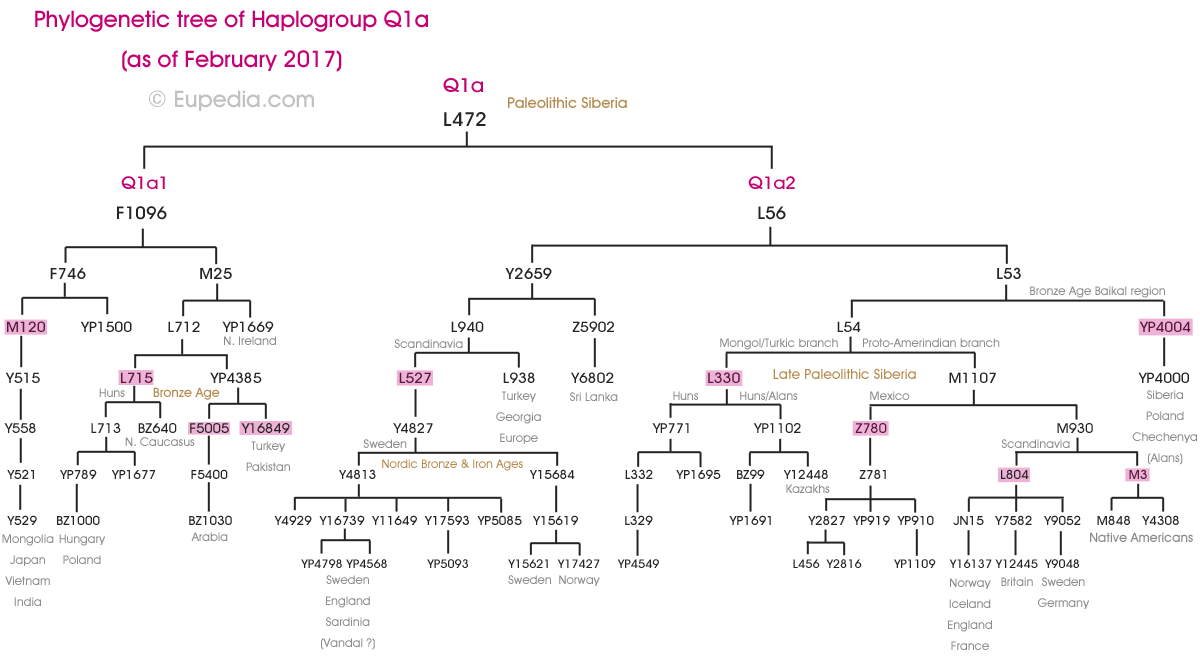 Q1a-tree.png