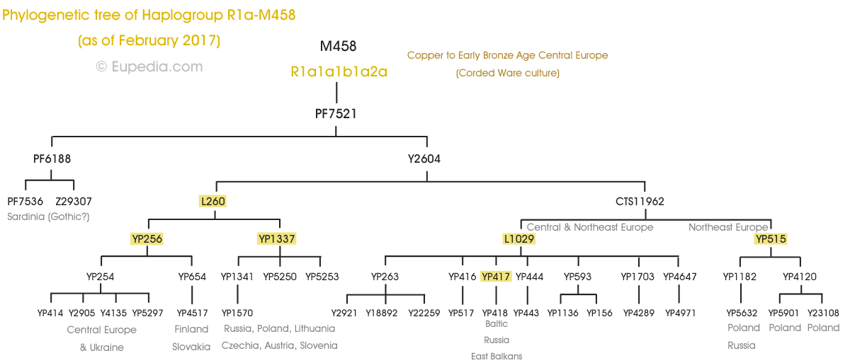 Drzewo filogenetyczne haplogrupy R1a-M458 (Y-DNA) - Eupedia