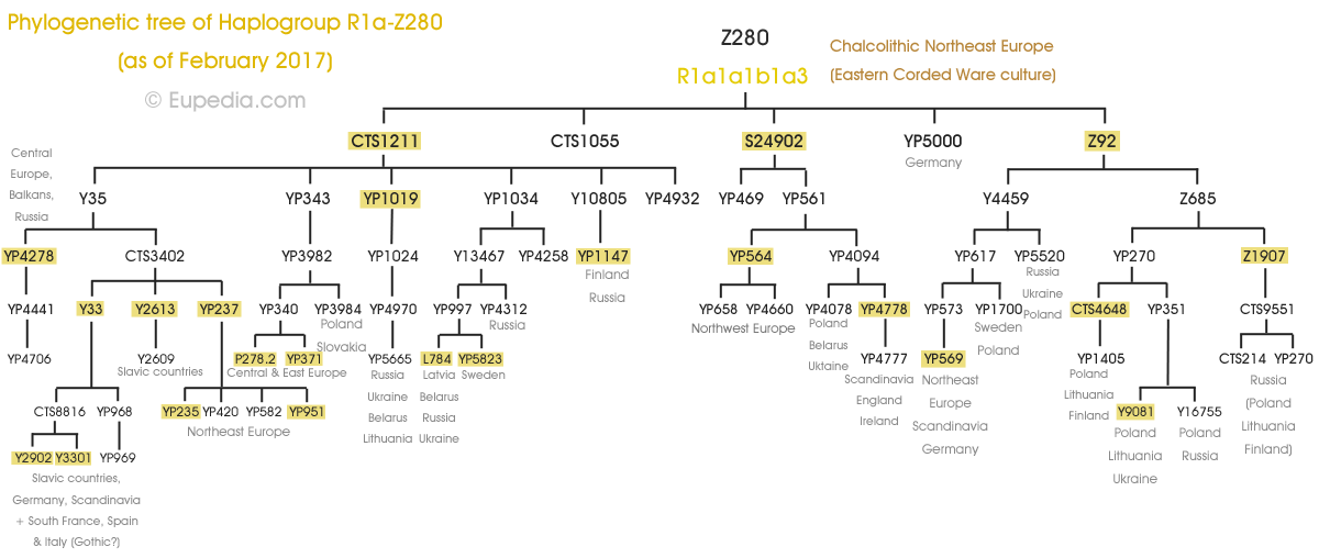 Albero filogenetico dell’aplogruppo R1a-Z280 (DNA-Y) - Eupedia