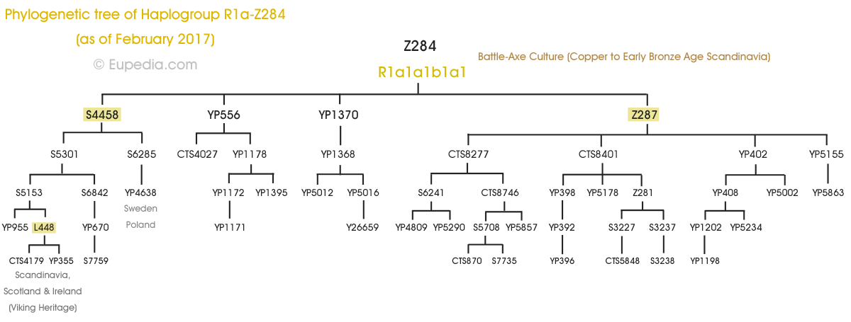 R1a-Z284-tree.png