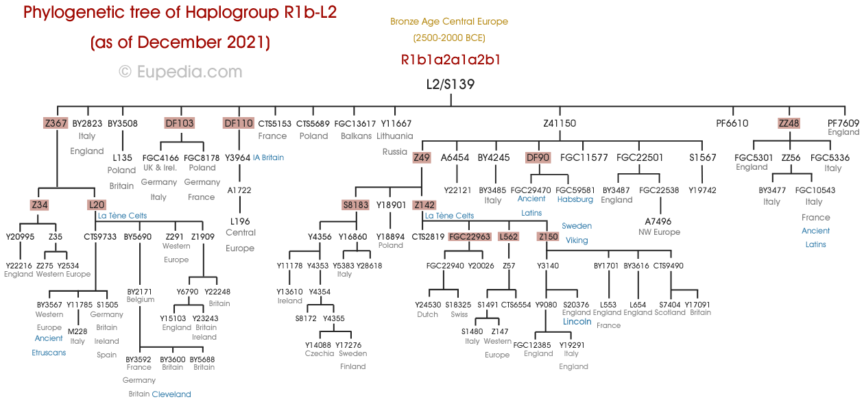 Phylogenetic tree of haplogroup R1b-L2 (Y-DNA) - Eupedia