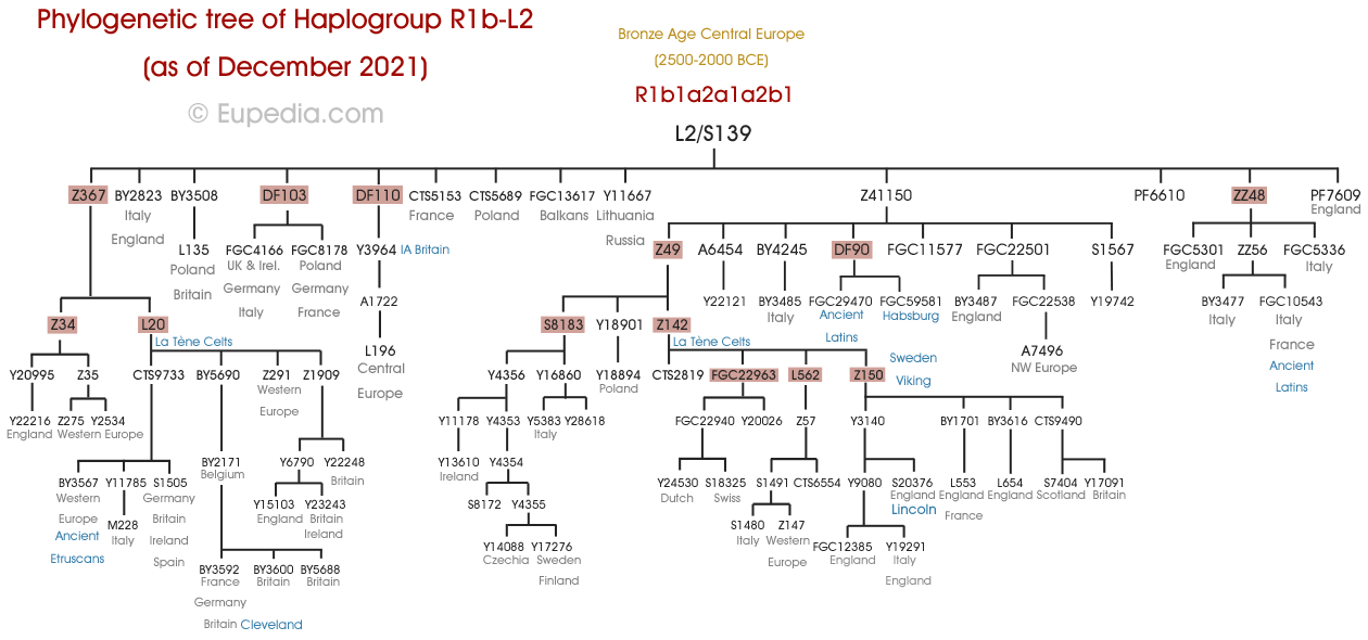 R1b-L2-tree.png