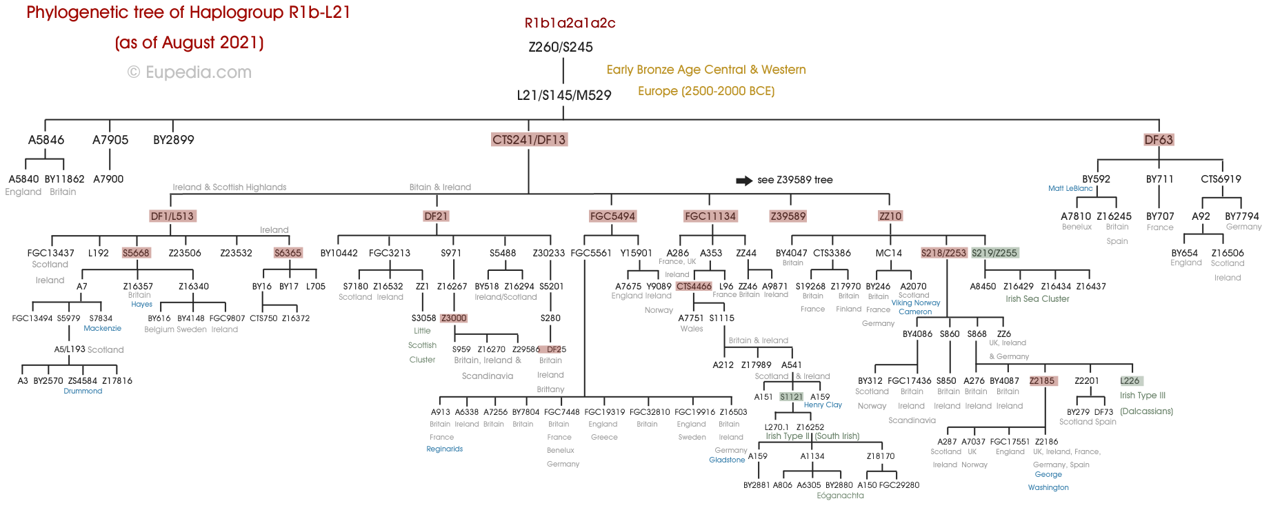 Phylogenetic tree of haplogroup R1b-L21 (Y-DNA) - Eupedia