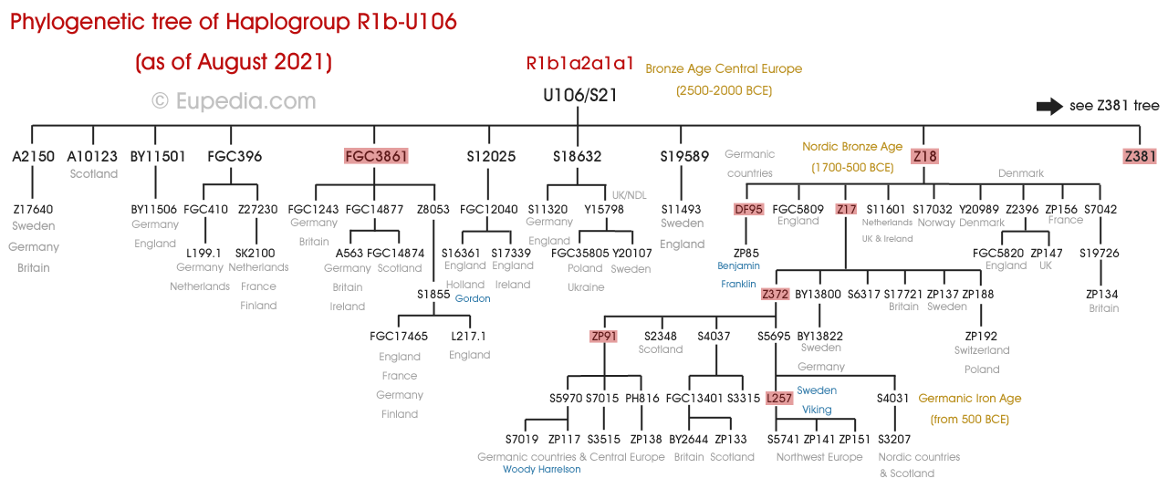 Phylogenetic tree of haplogroup R1b-U106 (Y-DNA) - Eupedia