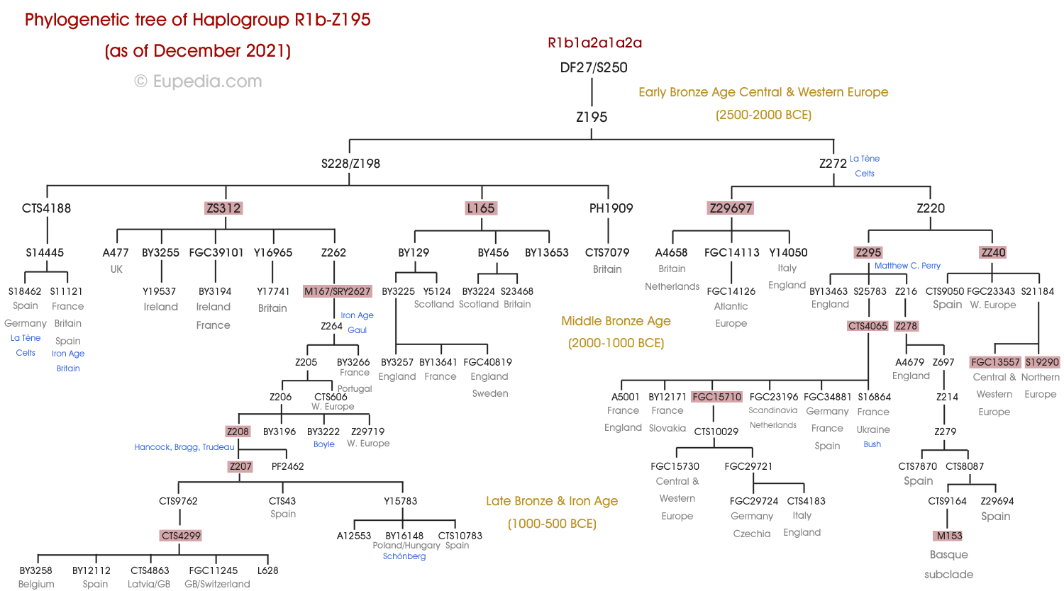 Phylogenetic tree of haplogroup R1b-Z195 (Y-DNA) - Eupedia