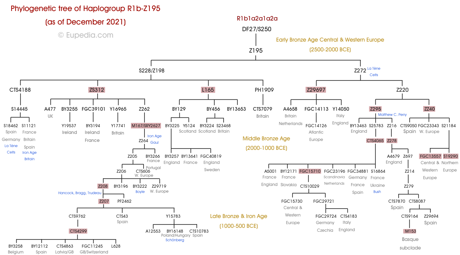 Alta frecuencia del marcador vasco R-M153 en el Sureste de España R1b-Z195-tree