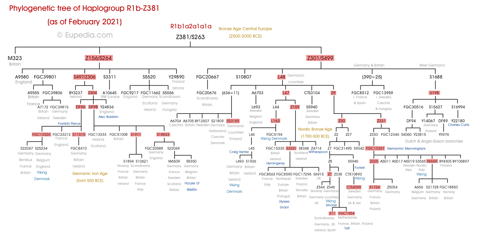 Phylogenetic tree of haplogroup R1b-Z381 (Y-DNA) - Eupedia