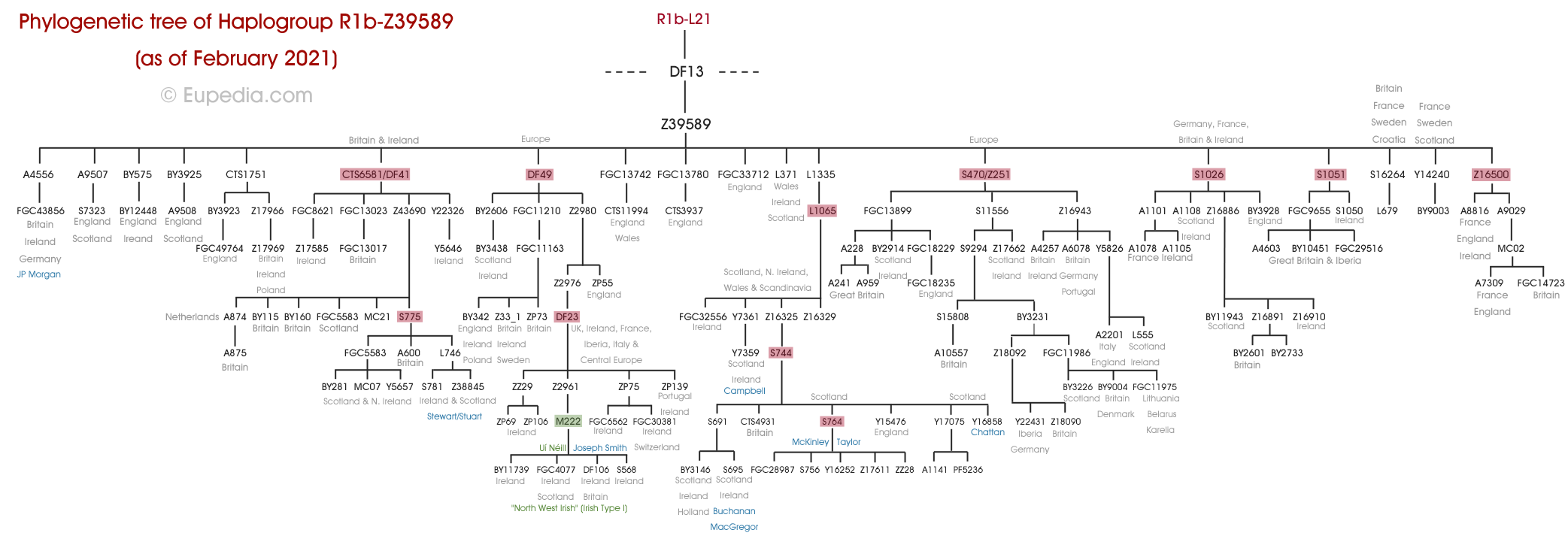 Phylogenetic tree of haplogroup R1b-Z39589 (Y-DNA) - Eupedia