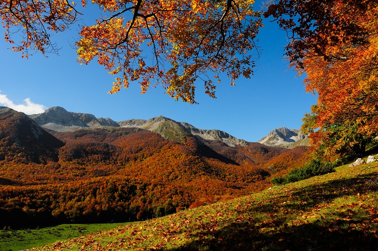 Abruzzo National Park (© Cenzo | Dreamstime.com)