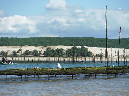Arcachon, Aquitaine (photo by Cyril from Pixabay)