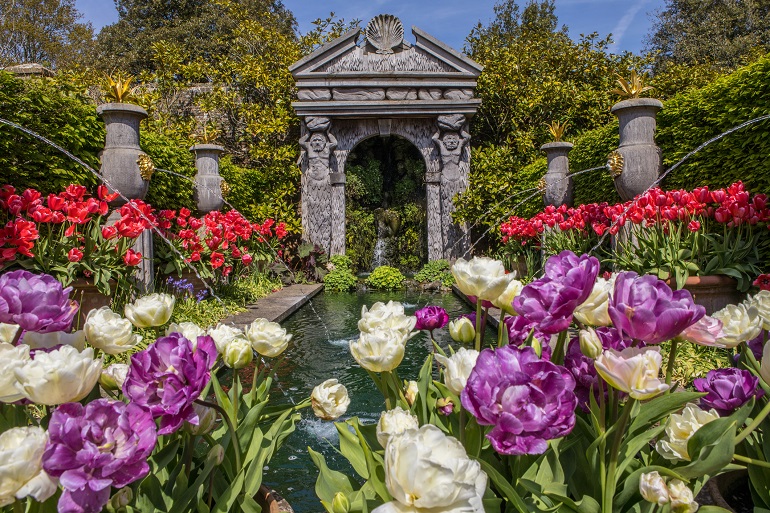 Tulips at Arundel Castle (© Chris Dorney | Dreamstime.com)
