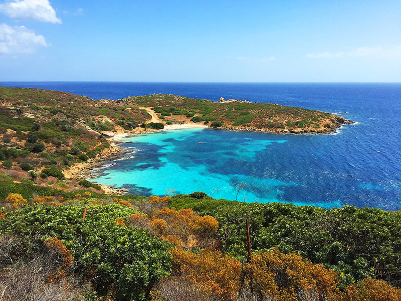 Asinara National Park (photo by Cristian85 - CC BY 3.0)