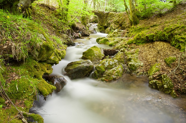 Aspromonte National Park (© Giuseppe Malara | Dreamstime.com)