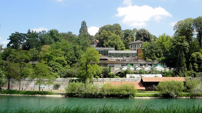 Botanical Garden, Bern (photo by Krol:k - CC BY-SA 3.0)
