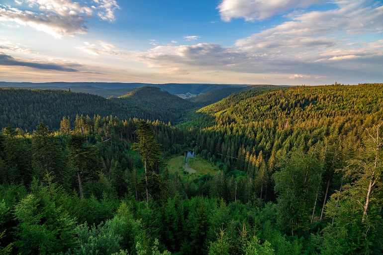 A view down on the Ellbachsee near Kniebis, in the Black Forest National Park (© Arthur Palmer | Dreamstime.com)