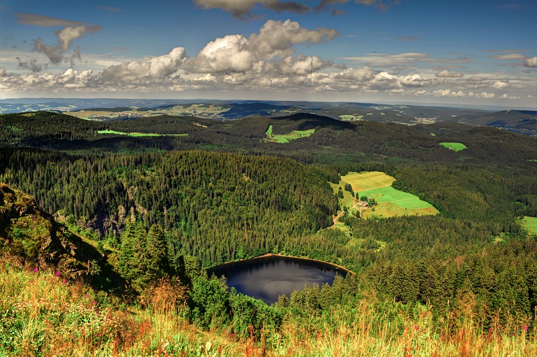 Panorama over the Black Forest National Park (© Havana1234 | Dreamstime.com)
