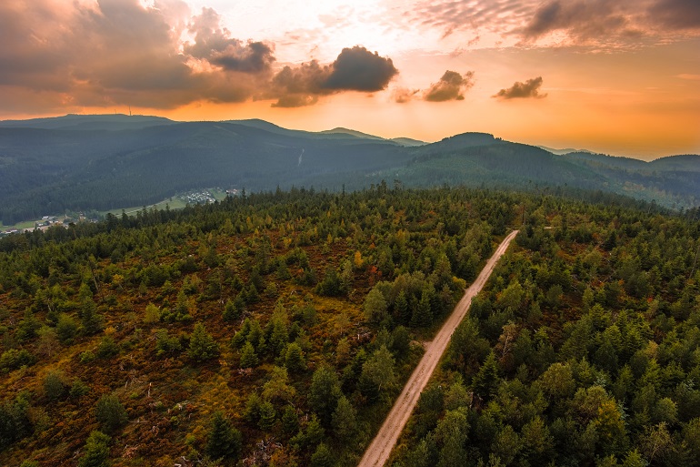 Panoramic view from the Frederick Tower on the Badener Hoehe near Baden-Baden and Forbach, Black Forest National Park (© David Hajnal | Dreamstime.com)