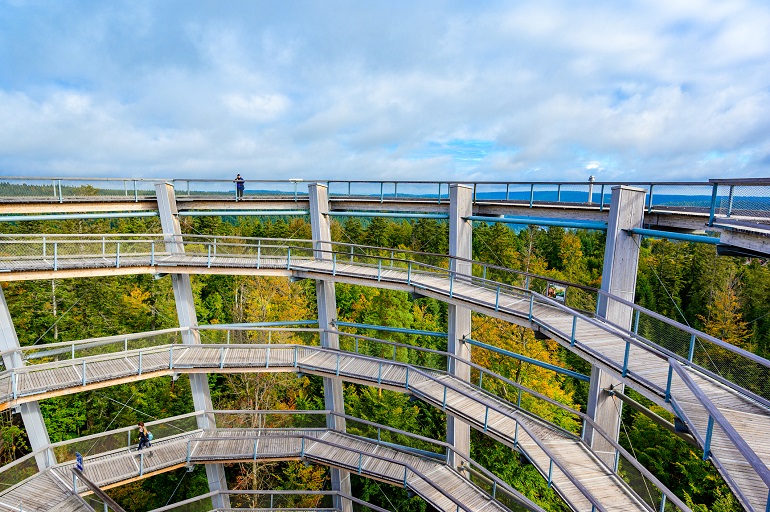 Treetop walk with 40m high Lookout tower located at Sommerberg, Bad Wildbad, Black Forest National Park (© SimonDannhauer | Dreamstime.com)