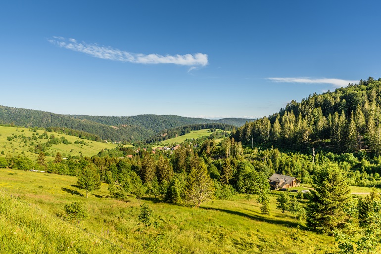 Hilly landscape near Todtmoos, Black Forest National Park (© Conny Pokorny | Dreamstime.com)