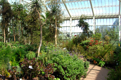 Mediterranean Greenhouse, National Botanic Garden of Belgium, Meise (&copy; Eupedia.com)