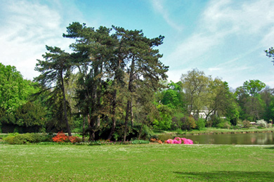 National Botanic Garden of Belgium, Meise (&copy; Eupedia.com)