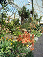 Desert greenhouse, National Botanic Garden of Belgium