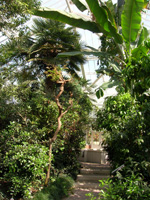 Greenhouses, National Botanic Garden of Belgium