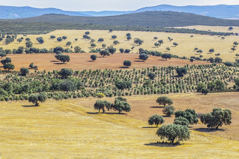 Cabañeros National Park (© Whpics | Dreamstime.com)