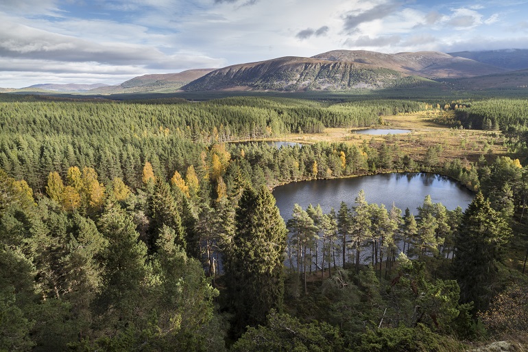 Uath Lochans in the Cairngorms National Park (© John Holmes | Dreamstime.com)