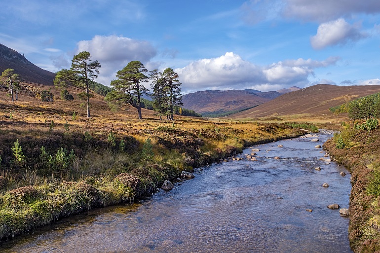 Small river running through the Cairngorms National Park (© Oksanaphoto | Dreamstime.com)