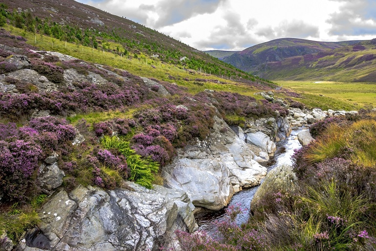 Cairngorms National Park (© Iwom22 | Dreamstime.com)