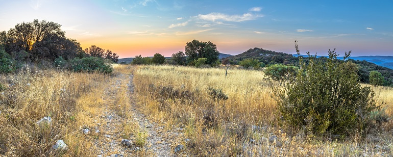 Summer landscape in the Cévennes National Park (© Rudmer Zwerver | Dreamstime.com)