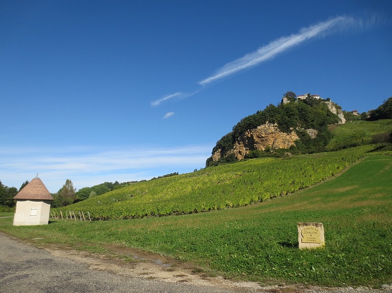 Vineyards of Château-Chalon (photo by Arnaud 25 - CC BY-SA 4.0)