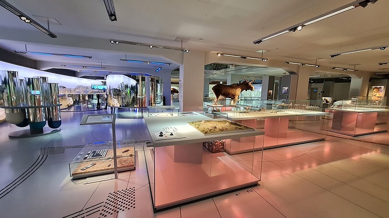 Staatliches Museum für Archäologie Chemnitz (photo by Derbrauni - CC BY 4.0)