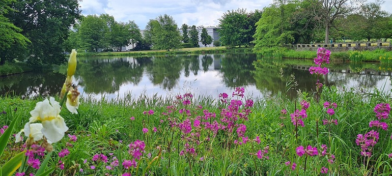 Spreeauen Park, Cottbus (photo by Derbrauni  - CC BY 4.0)