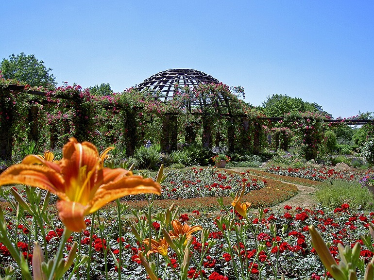 Rose Dome in Park Rosenhöhe, Darmstadt (photo by Heidas - CC BY-SA 3.0)