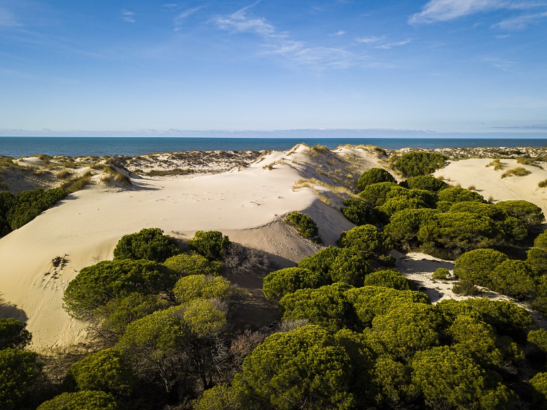Doñana National Park (© Lukas Vejrik | Dreamstime.com)