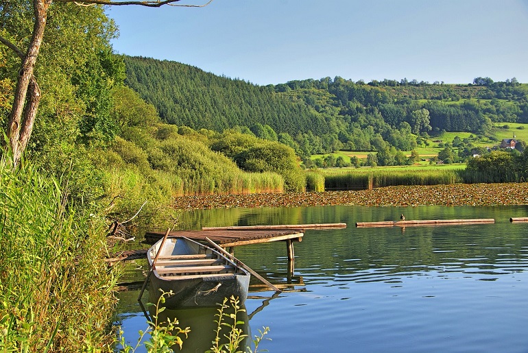 Eifel National Park (photo by Siegbert Pinger from Pixabay)