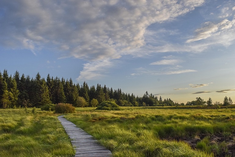 Hiking path, Eifel National Park (photo from Pixabay)