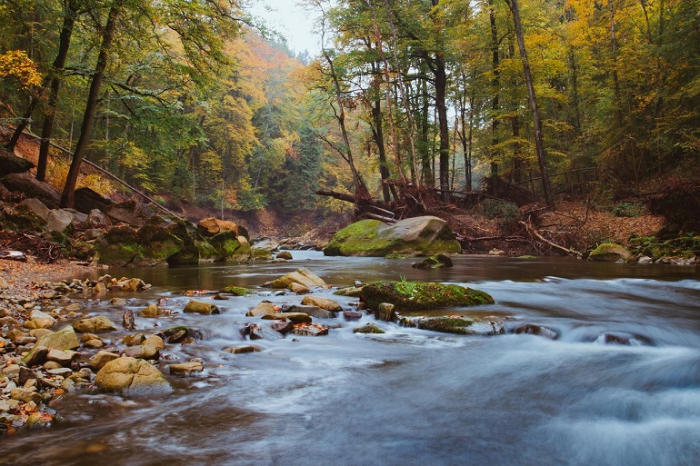 Stream in autumn, Eifel National Park (photo by sgrunde from Pixabay)