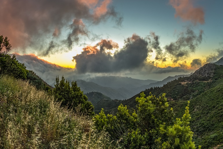 Relict forest on the slopes of the mountain range of the Garajonay National Park (© Yury Morozov | Dreamstime.com)