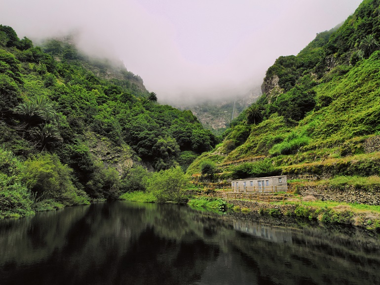 Garajonay National Park (© Karol Kozlowski | Dreamstime.com)