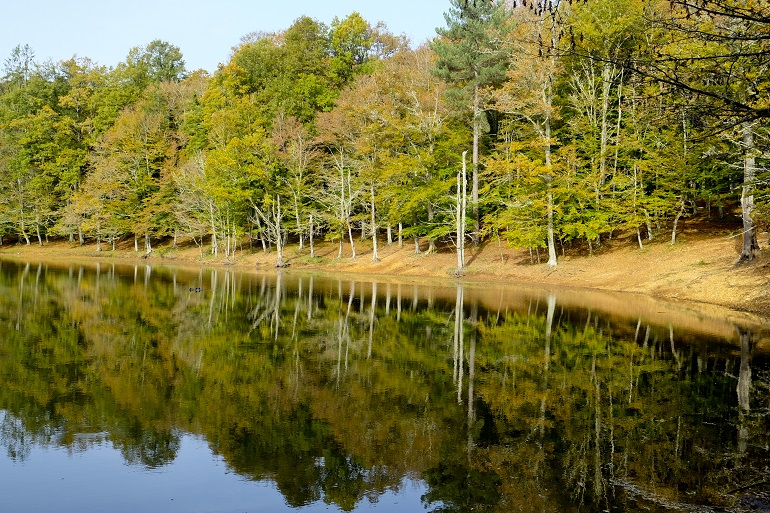 The lake of Umbra Forest, Gargano National Park (© Claudio Balducelli | Dreamstime.com)