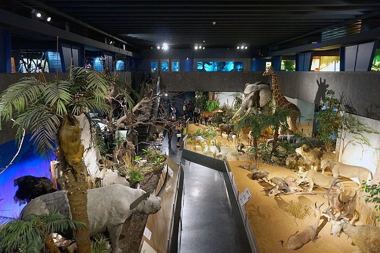 Museum of Natural History, Geneva (photo by Tiia Monto - CC BY-SA 3.0)